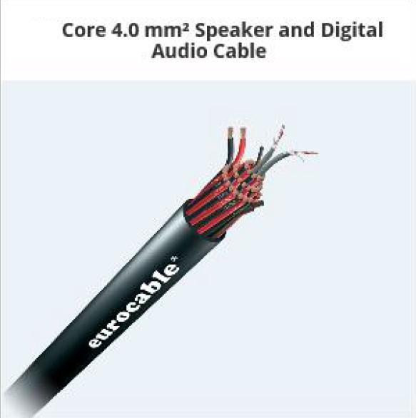 speaker digital audio cable